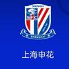 大大小小的馒头