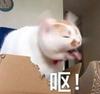 二十五分钟