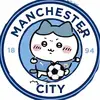 曼城神锋埃尔林