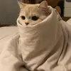 玉经雕琢方成器