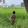 zyuzyu