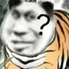 广州摩纳哥小黄