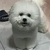 莱茶伦