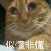 超越拿破仑