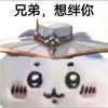 笨蛋昕崽