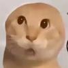 杜_较瘦