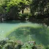 保卫胡萝卜