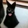 开心的红裤茶