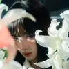 白石雾江