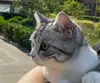 ljq咩西