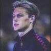 河南南特小林
