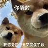 腐竹炒肉丝