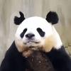 踢蓝球打足球
