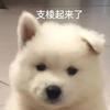 左路重叠影