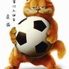 第12人球员灵猫