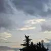 青岛格列兹曼
