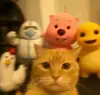 马特奥脑袋圆圆的