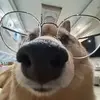 slllllllll