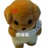 携手挽歌