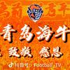 青岛必胜LOVEQD