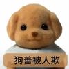 利物浦球迷9999号