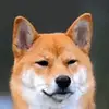 俺叫杰克逊