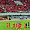 Rain_lingyang