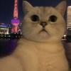 苏州利物浦小梁