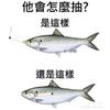 冰城会展
