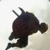唯爱12356