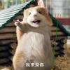 哪能意思啦侬