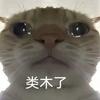 臭子不会踢球