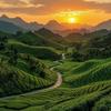 山海独行