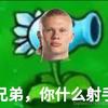 张鱼1