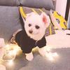 火星都灵安联球场小韦8