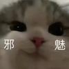 大智慧134