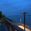 这刺是胜利