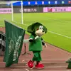 小熊没有猫