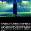 仙源何处寻