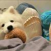 slep