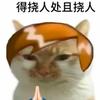 内向的星辰