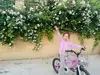 文体两开花西