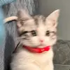 暢_