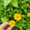 东莞卢米埃尔球场小范3