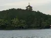 罗本我的爱
