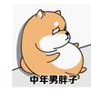 球迷33240174