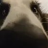Z1ppp_7