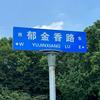 肖艾17