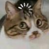 一尘不染的黑
