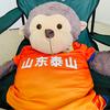 泰山红魔第12人大脑袋